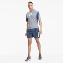 Puma мужские шорты 843727*43, тёмно-синий цена и информация | Мужская спортивная одежда | pigu.lt