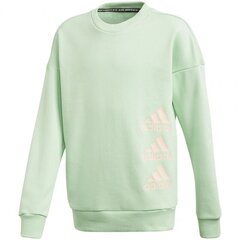 Джемпер для мальчиков Adidas Jg Mh Crew, зеленый GE0965 цена и информация | Свитеры, жилетки, пиджаки для мальчиков | pigu.lt