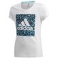 Sportiniai marškinėliai berniukams Adidas Gfx Tee, balti GE0500 kaina ir informacija | Marškinėliai berniukams | pigu.lt