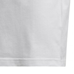 Спортивная футболка для мальчиков Adidas Yb Graph Tee Jr, белая GD6121 цена и информация | Рубашки для мальчиков | pigu.lt