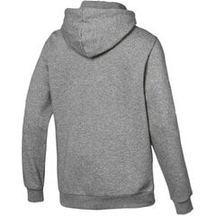 Džemperis vyrams Puma ESS Hoody FL Big Logo M 851743 03, pilka kaina ir informacija | Džemperiai moterims | pigu.lt