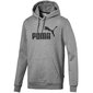 Džemperis vyrams Puma ESS Hoody FL Big Logo M 851743 03, pilka kaina ir informacija | Džemperiai moterims | pigu.lt