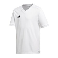 Футболка для мальчиков Adidas Table 18, белая CE8919 цена и информация | Рубашки для мальчиков | pigu.lt