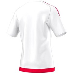 Sportiniai marškinėliai vyrams Adidas Estro 15, balti S16166 цена и информация | Мужская спортивная одежда | pigu.lt