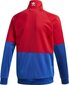 Džemperis berniukams Adidas Originals Big Trefoil TT Junior GD2706, raudonas kaina ir informacija | Megztiniai, bluzonai, švarkai berniukams | pigu.lt