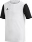Futbolo marškinėliai Adidas ESTRO 19 JSY, balti, 152cm kaina ir informacija | Futbolo apranga ir kitos prekės | pigu.lt