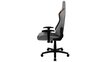 Žaidimų kėdė Aerocool Duke, pilka kaina ir informacija | Biuro kėdės | pigu.lt