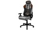 Žaidimų kėdė Aerocool Duke, pilka kaina ir informacija | Biuro kėdės | pigu.lt