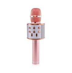Karaokė mikrofonas - kolonėlė su balso keitimo efektais, T20059 kaina ir informacija | Lavinamieji žaislai | pigu.lt