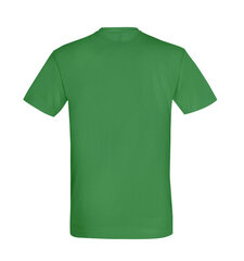 Marškinėliai vyrams Aš bosas, žali kaina ir informacija | Vyriški marškinėliai | pigu.lt