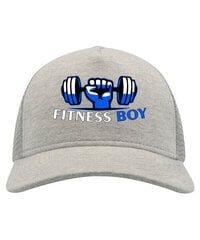 Kepurė su snapeliu vyrams Fitness boy, pilka цена и информация | Мужские шарфы, шапки, перчатки | pigu.lt