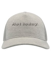 Kepurė su snapeliu vyrams Not today, pilka цена и информация | Мужские шарфы, шапки, перчатки | pigu.lt