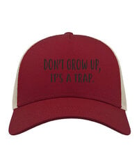 Kepurė vyrams su snapeliu Don't grow up, bordinė цена и информация | Мужские шарфы, шапки, перчатки | pigu.lt