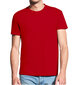 Marškinėliai vyrams Work is calling, raudoni цена и информация | Vyriški marškinėliai | pigu.lt