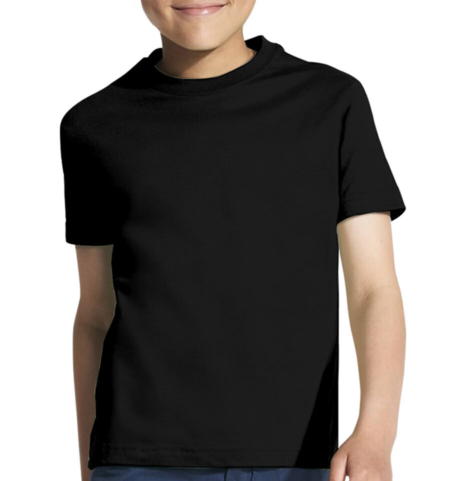 Marškinėliai berniukams Rawrsome, juoda цена и информация | Marškinėliai berniukams | pigu.lt