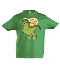 Marškinėliai berniukams Rawrsome, žalia цена и информация | Рубашки для мальчиков | pigu.lt