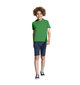 Marškinėliai vaikams Rawr, žalia kaina ir informacija | Marškinėliai berniukams | pigu.lt