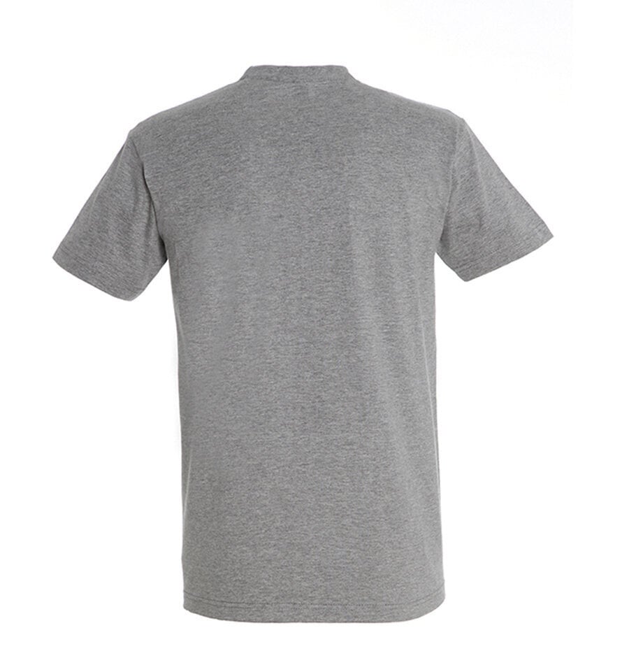 Marškinėliai vyrams Šikirblesk, pilki kaina ir informacija | Vyriški marškinėliai | pigu.lt