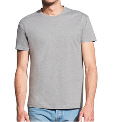 Marškinėliai vyrams Impossible to Forget, pilki цена и информация | Мужские футболки | pigu.lt