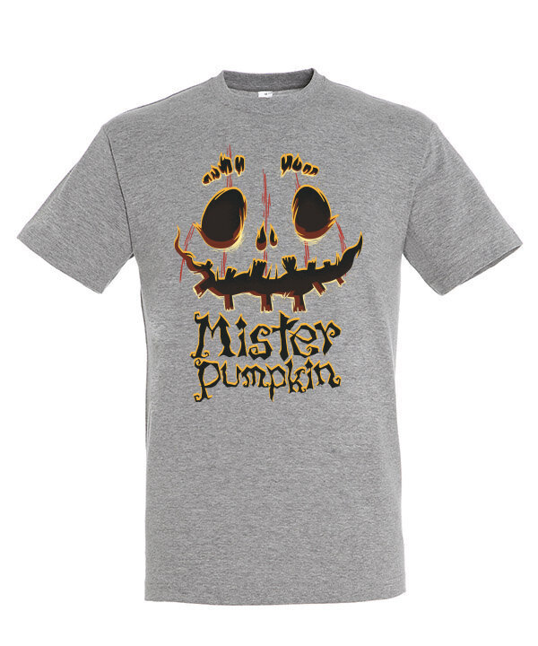 Marškinėliai vyrams Mister Pumpkin, pilki kaina ir informacija | Vyriški marškinėliai | pigu.lt