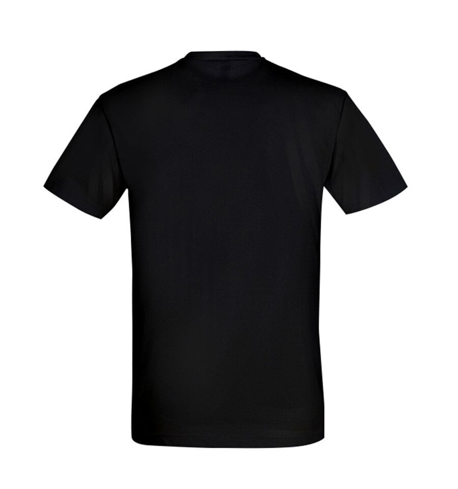 Vyriški marškinėliai Krepšinio šalis, juodi цена и информация | Vyriški marškinėliai | pigu.lt