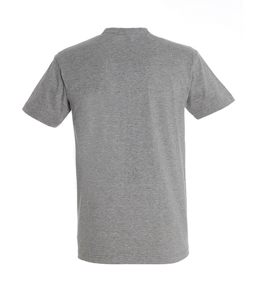 Marškinėliai vyrams Krepšininkas, pilki kaina ir informacija | Vyriški marškinėliai | pigu.lt
