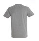 Marškinėliai vyrams Maistas miegas krepšinis, pilki kaina ir informacija | Vyriški marškinėliai | pigu.lt