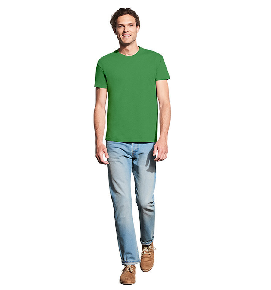 Marškinėliai vyrams Lithuania, žali kaina ir informacija | Vyriški marškinėliai | pigu.lt
