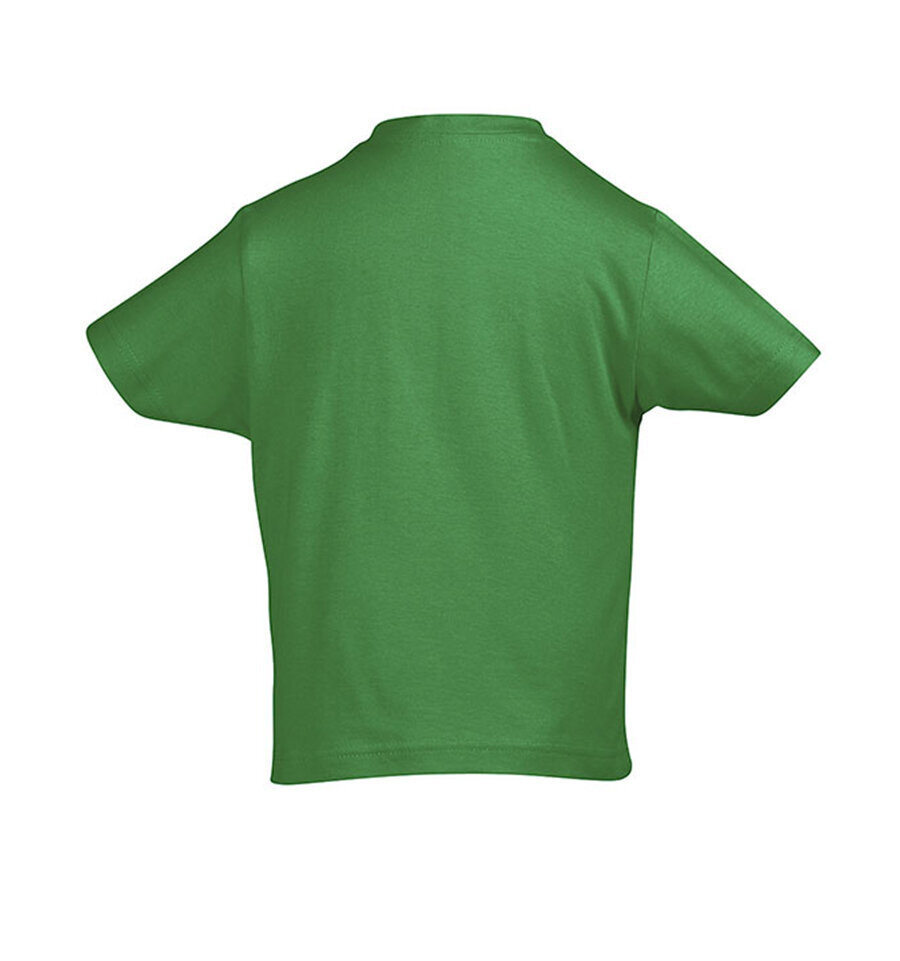 Marškinėliai vaikams Pandos gimtadienis, žalia kaina ir informacija | Marškinėliai berniukams | pigu.lt