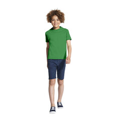 Marškinėliai berniukams Gimtadienis, žalia kaina ir informacija | Marškinėliai berniukams | pigu.lt