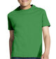 Marškinėliai vaikams Šeimyninė pica, žalia цена и информация | Marškinėliai berniukams | pigu.lt