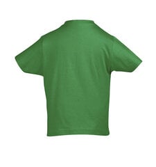 Marškinėliai vaikams Barzda, žalia цена и информация | Рубашки для мальчиков | pigu.lt