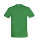 Marškinėliai vyrams Ride, žali kaina ir informacija | Vyriški marškinėliai | pigu.lt