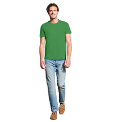 Marškinėliai vyrams Barbekiu karalius, žalia цена и информация | Мужские футболки | pigu.lt