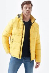 Зимняя куртка Mavi 0110068900-L цена и информация | Мужские куртки | pigu.lt