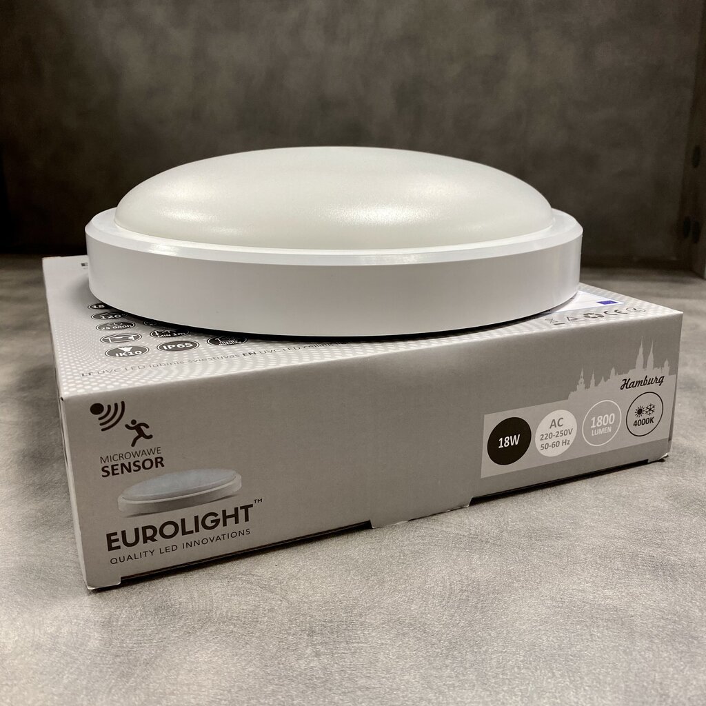 Eurolight lubinis šviestuvas Hamburg цена и информация | Lubiniai šviestuvai | pigu.lt