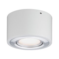 Потолочный светильник 79708 цена и информация | Потолочные светильники | pigu.lt