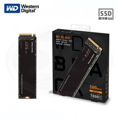 Western Digital WDS500G1X0E                     цена и информация | Внутренние жёсткие диски (HDD, SSD, Hybrid) | pigu.lt