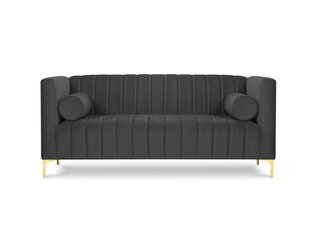 Dvivietė sofa Kooko Home Tutti, tamsiai pilka/auksinės spalvos kaina ir informacija | Sofos | pigu.lt