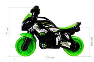 Балансировочный мотоцикл со звуками цена и информация | Игрушки для малышей | pigu.lt