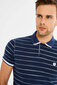 Polo marškinėliai MCL kaina ir informacija | Vyriški marškinėliai | pigu.lt