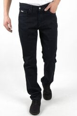 Джинсы BLK JEANS цена и информация | Mужские джинсы Only & Sons Loom 5714910844399 | pigu.lt