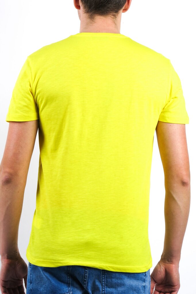 Marškinėliai vyrams VIGOSS цена и информация | Vyriški marškinėliai | pigu.lt