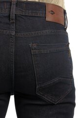 Джинсы BLK JEANS цена и информация | Mужские джинсы Only & Sons Loom 5714910844399 | pigu.lt