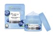Drėkinamasis dieninis ir naktinis veido kremas-putos Bielenda Blueberry C-TOX 40 g kaina ir informacija | Veido kremai | pigu.lt
