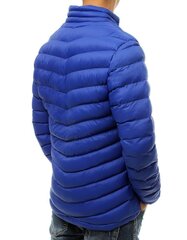 Мужская куртка Siter, синяя цена и информация | Мужские куртки | pigu.lt