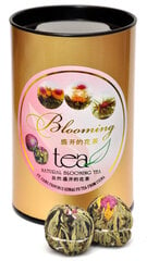 Blooming tea "Even Better" - Žydinti arbata „Dar geriau”, 6 vnt. kaina ir informacija | Arbata | pigu.lt