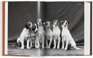 Dog in Photography 1839-Today: 1839-Today Multilingual edition цена и информация | Книги по фотографии | pigu.lt