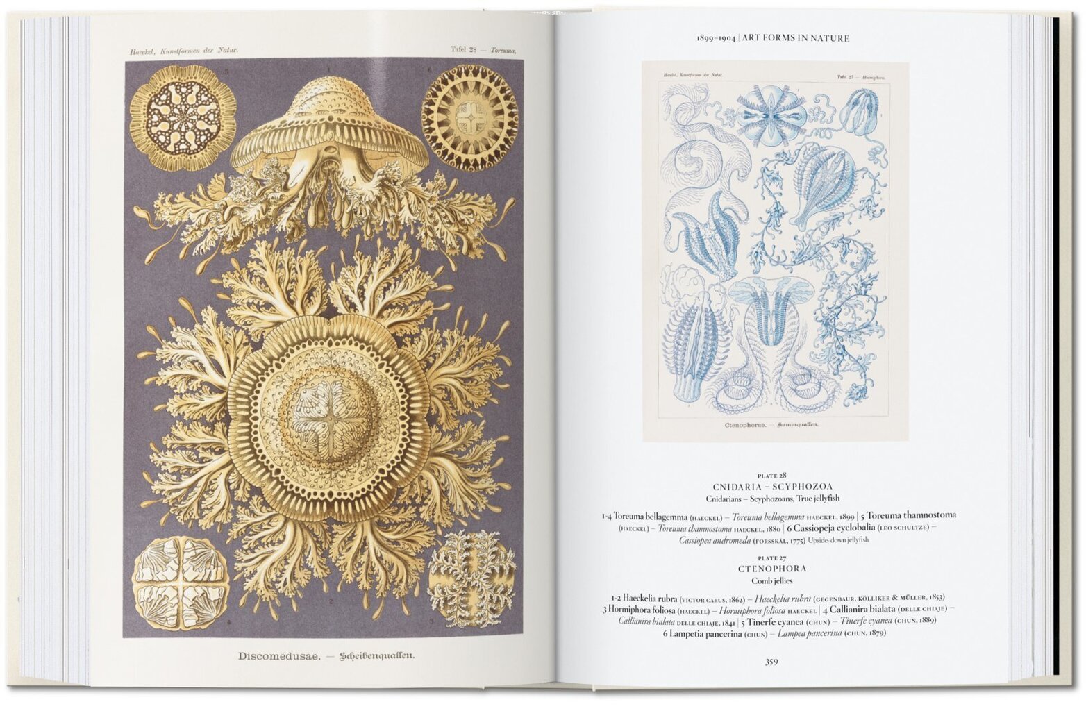 Art and Science of Ernst Haeckel. 40th Ed. цена и информация | Knygos apie meną | pigu.lt