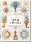 Art and Science of Ernst Haeckel. 40th Ed. цена и информация | Knygos apie meną | pigu.lt